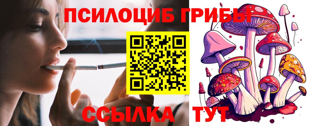 Новоалтайск  Псилоцибиновые грибы прущие грибы  Вход с VPN 